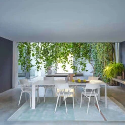 Kartell AI Chair 2pcs 16 Kartell AI Chair 2pcs -Furniture Shop 202209 56 03