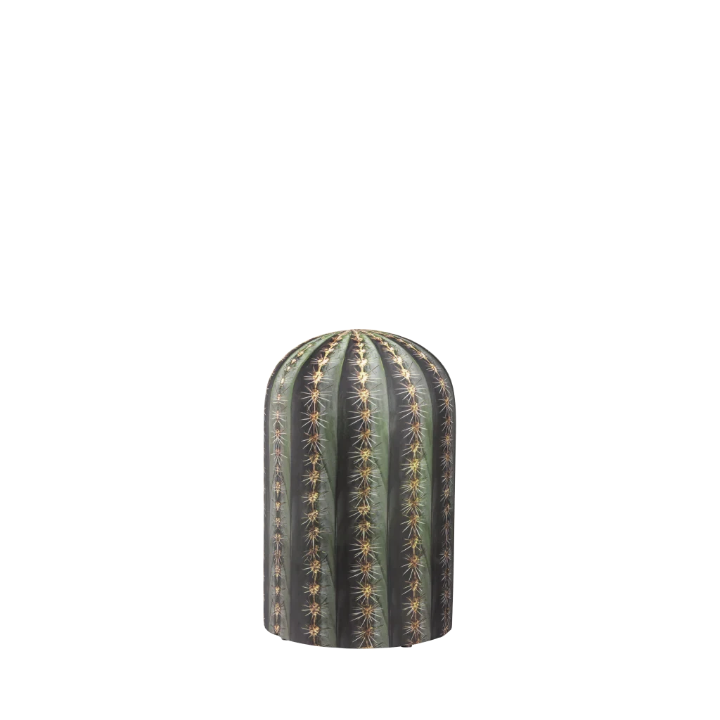 Qeeboo CACTUS Pouf 1 Qeeboo CACTUS Pouf