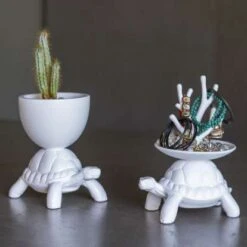 Qeeboo TURTLE XS Pocket Emptier 5 Qeeboo TURTLE XS Pocket Emptier -Furniture Shop download 43 163e66f2 5d6f 4ad0 b57a 356e8495029f