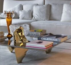 Driade Sereno Coffee Table -Furniture Shop driade sereno coffee table 398162