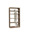 Driade Venus Bookcase By Fabio Novembre