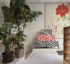 Driade Ziqqurat Striped Cabinet 3 High 9 Driade Ziqqurat Striped Cabinet 3 High -Furniture Shop driade ziqqurat striped cabinet 3 high 681434